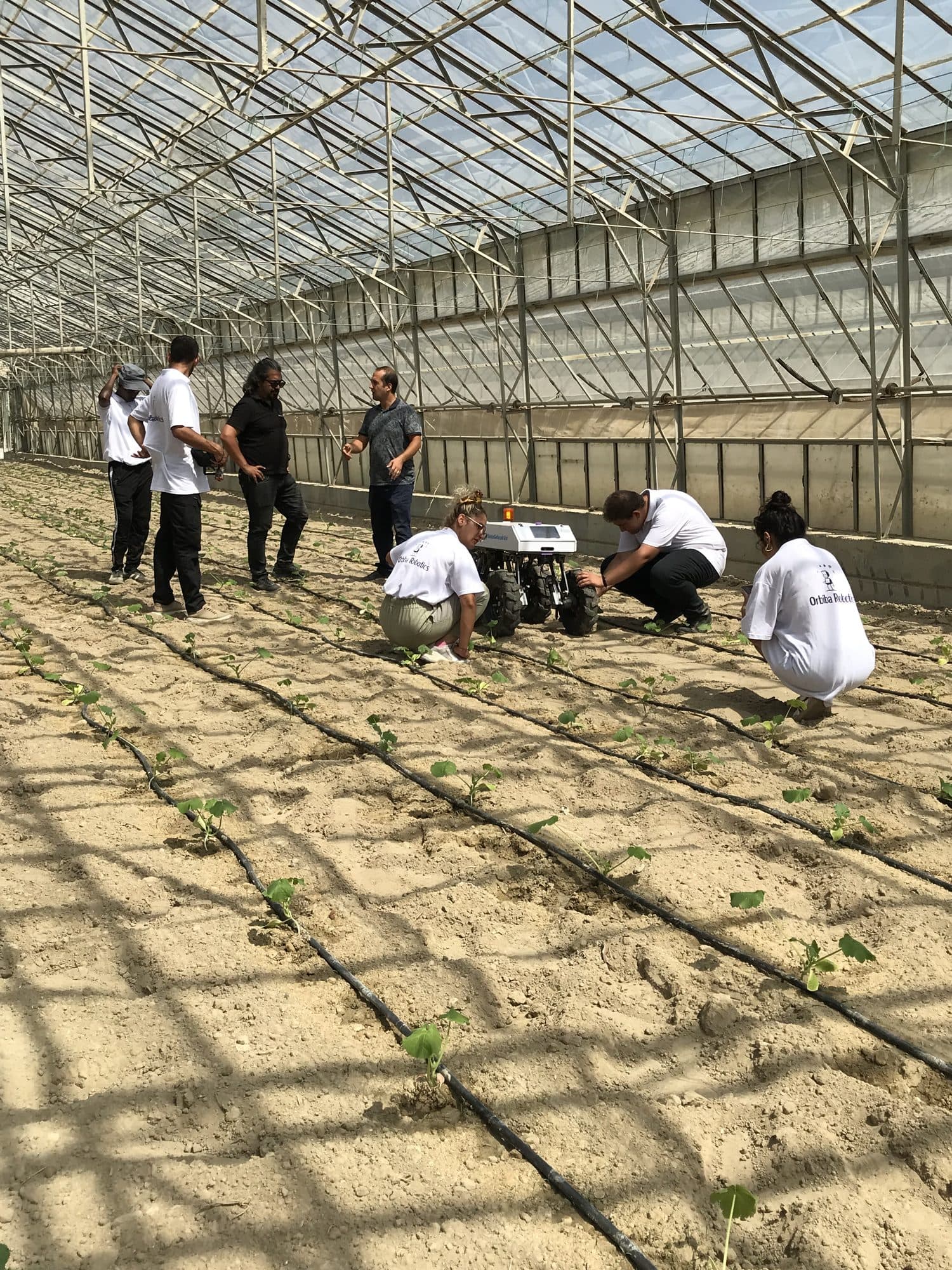 The team working with Ecominos among seedlings in a greenhouse
