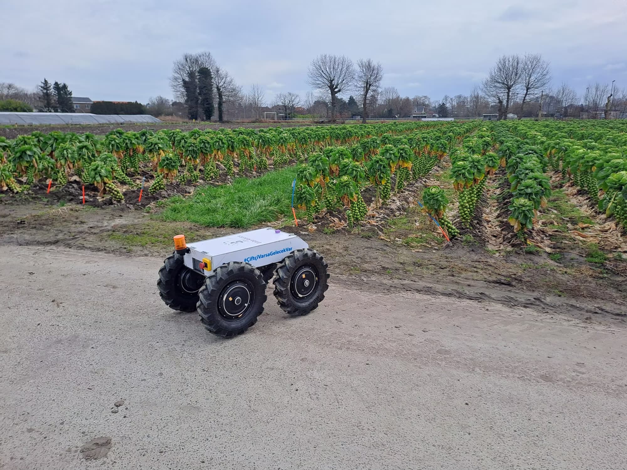 Ecominos autonomous robot moving through crop rows